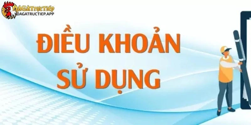 Điều khoản điều kiện