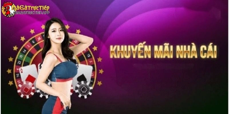 Khuyến mãi Đá gà trực tiếp
