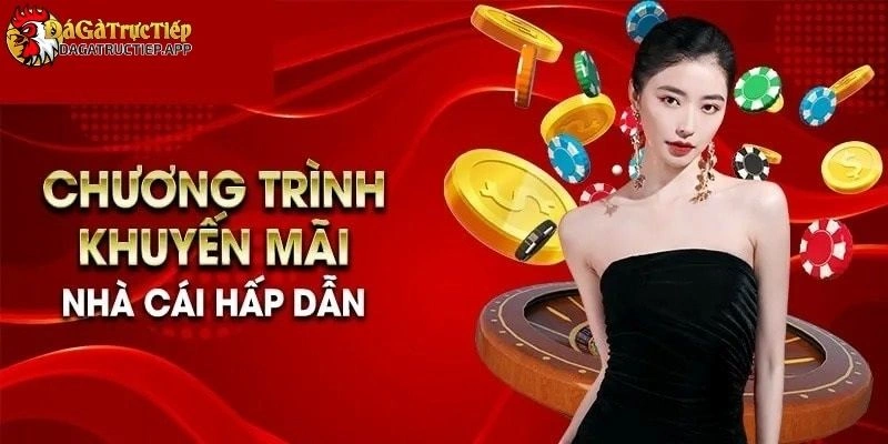 Khuyến mãi Đá gà trực tiếp