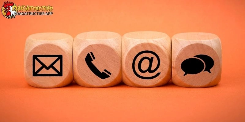 Liên hệ Đá gà trực tiếp