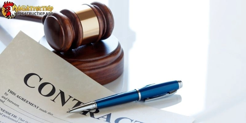 Miễn trừ trách nhiệm
