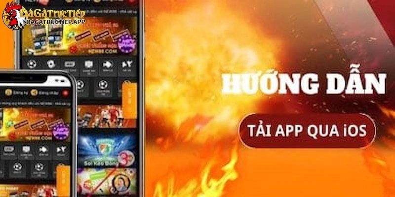 Tải app Đá gà trực tiếp